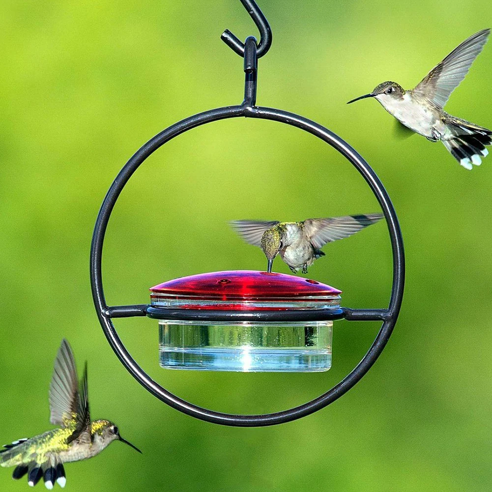Hummingbird-Drinker-Feeder-with-Red-Glass-Bowl-Outdoor-Humming-Bird-Feeder-Attract-Birds-for-Outside-Garden-1.webp