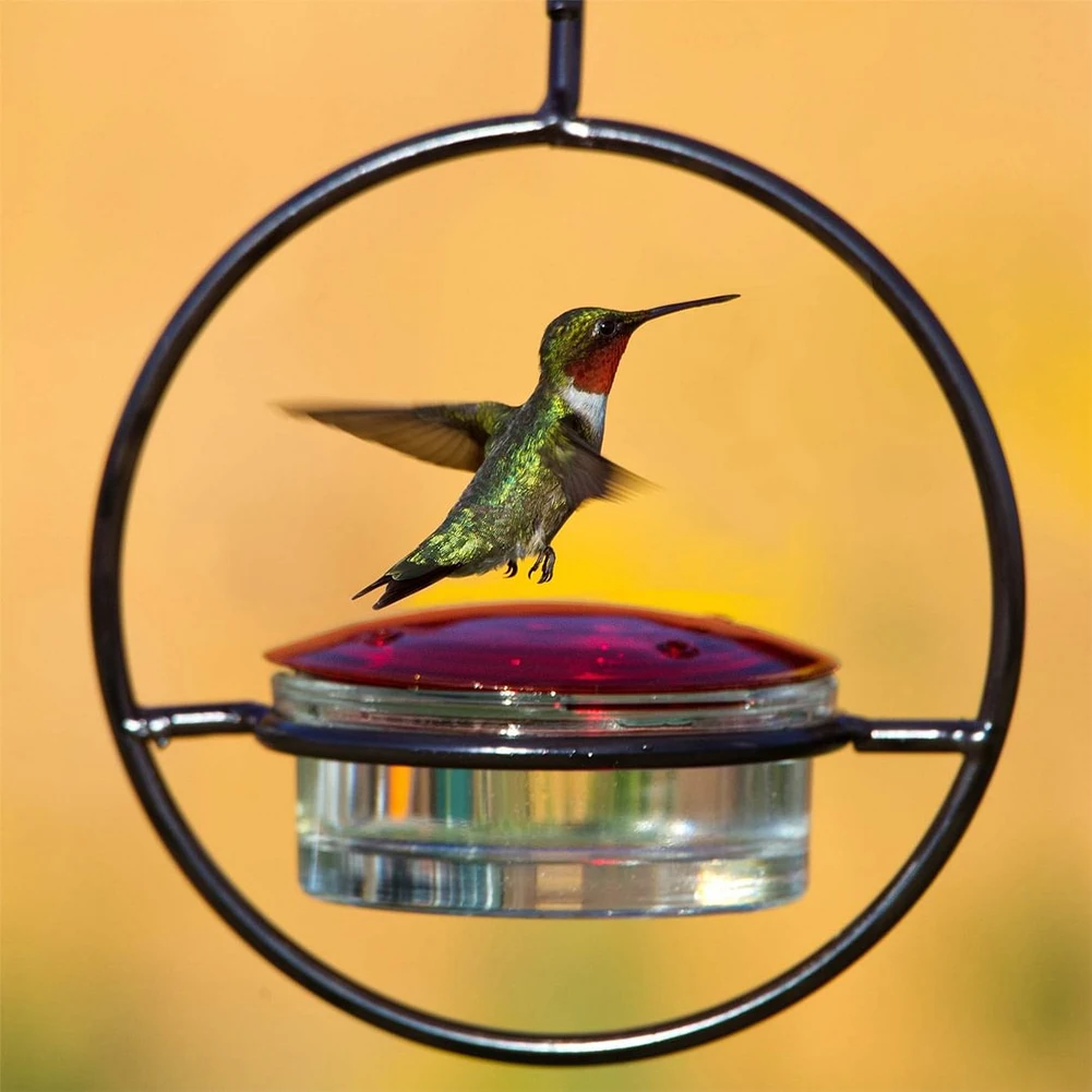 Hummingbird-Drinker-Feeder-with-Red-Glass-Bowl-Outdoor-Humming-Bird-Feeder-Attract-Birds-for-Outside-Garden-2.webp